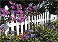Wishing you a picture perfect day filled with happiness. Garden Fence A2262U-X